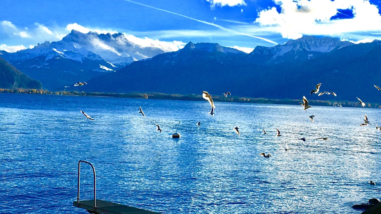 Photo of Others in Montreux