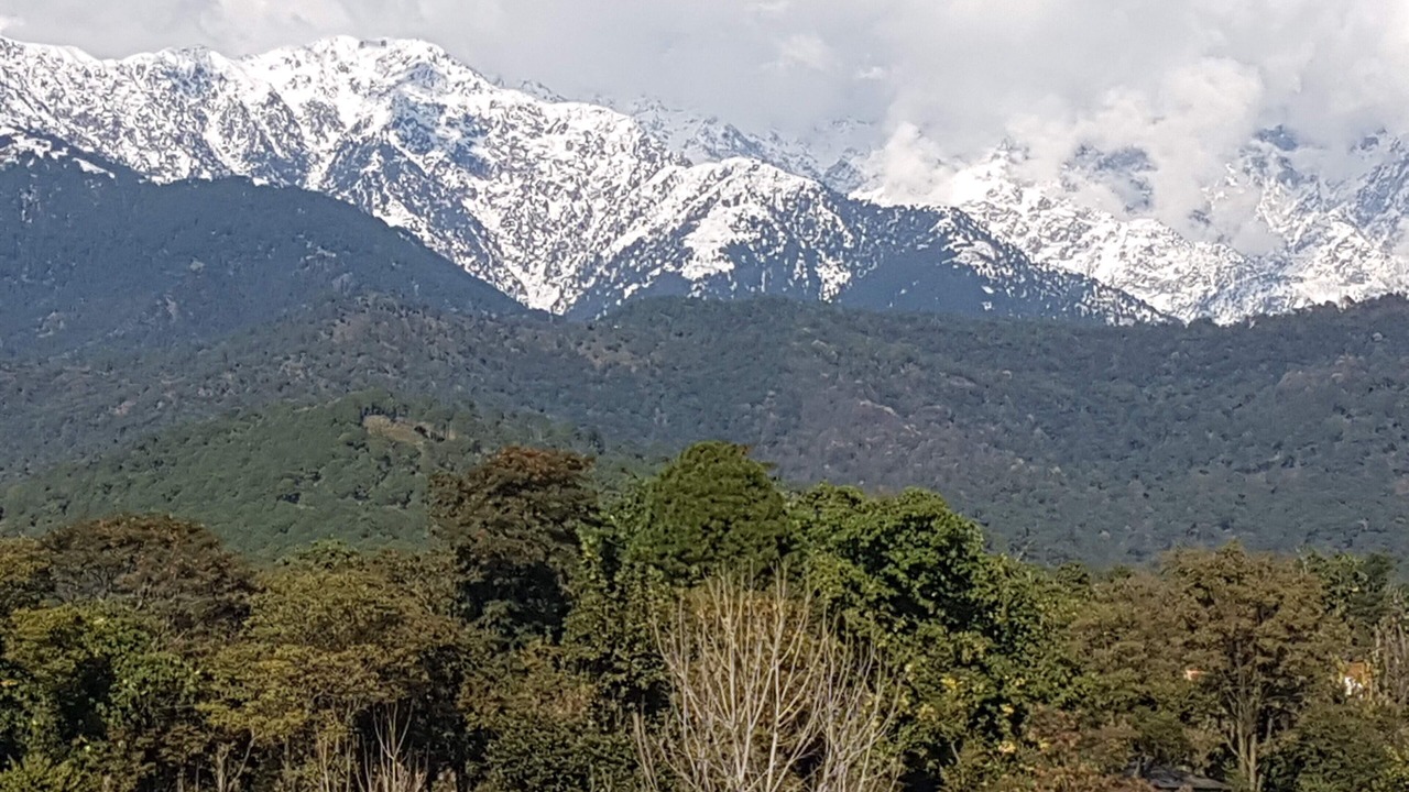 Photo of Others in Palampur