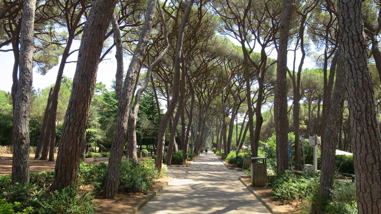 Photo of Outdoor in Rosignano Solvay
