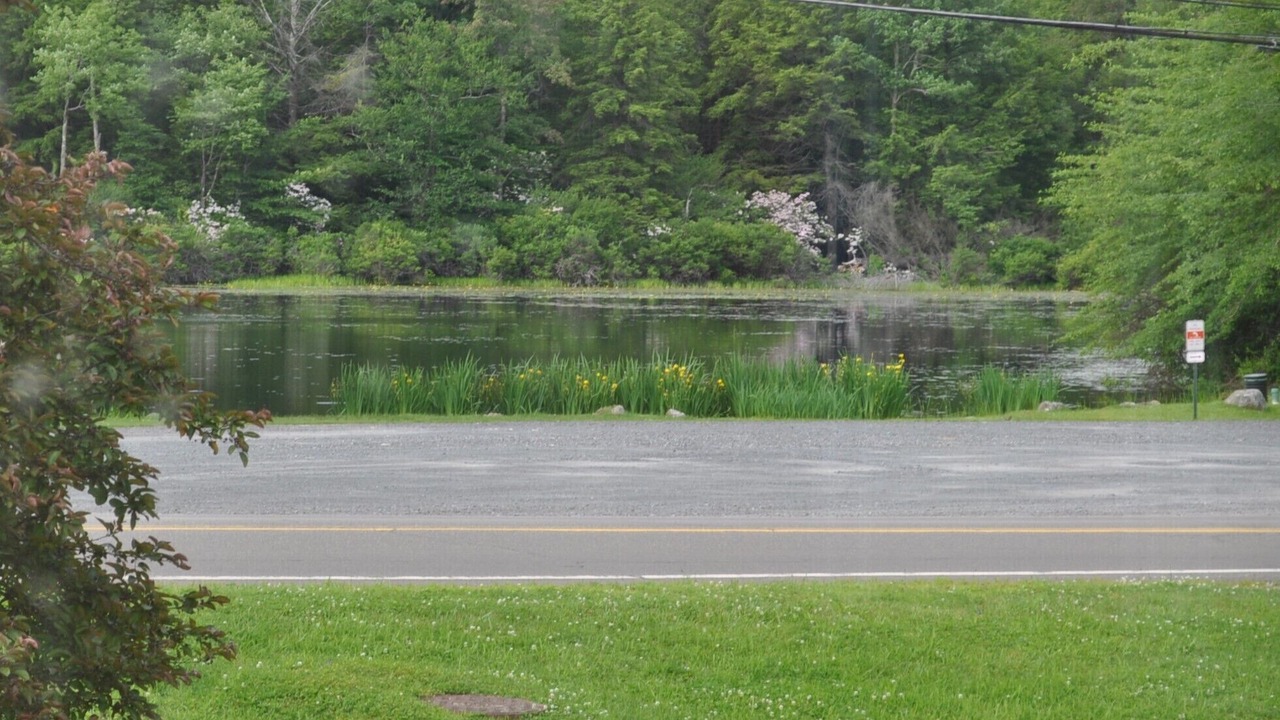 Photo of Others in Eagles Mere
