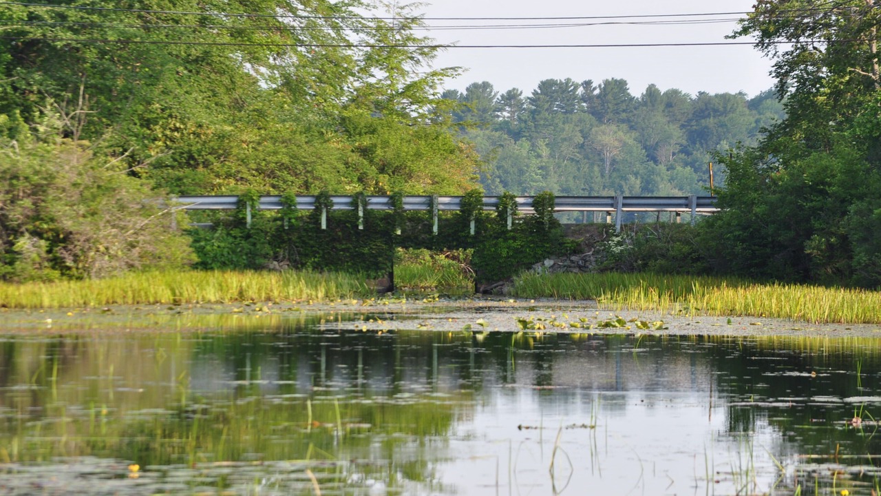 Photo of Outdoor in Eagles Mere