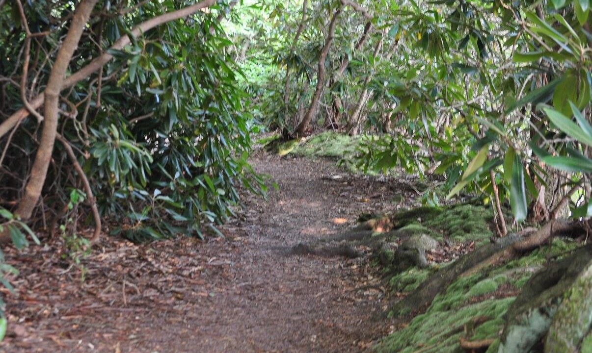 Photo of Outdoor in Eagles Mere