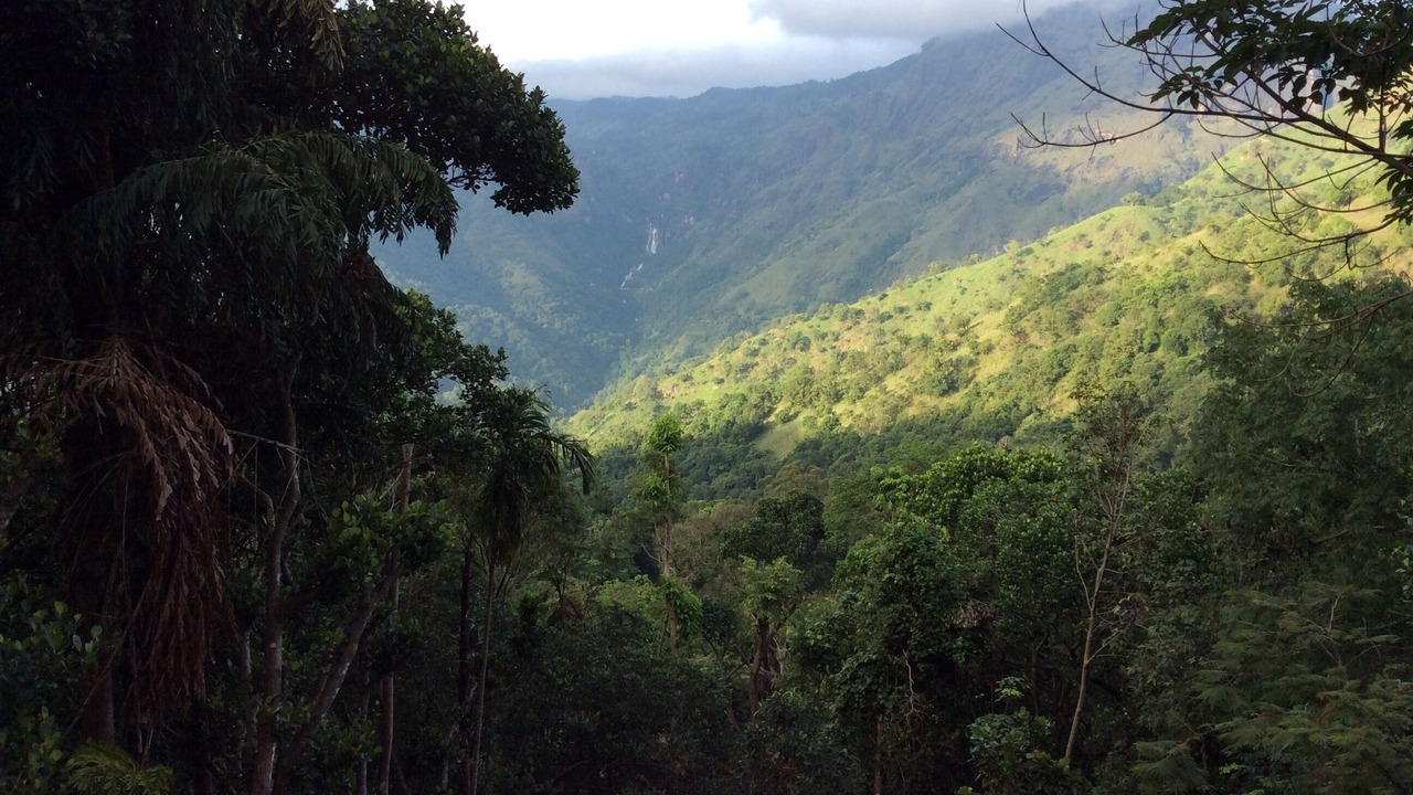 Photo of Outdoor in Ambagollapathana