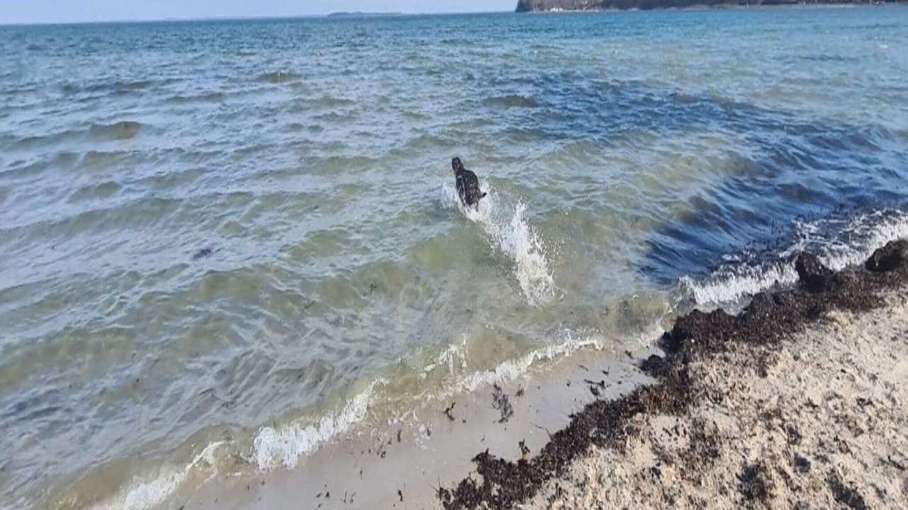 Photo of Outdoor in Hejlsminde Strand
