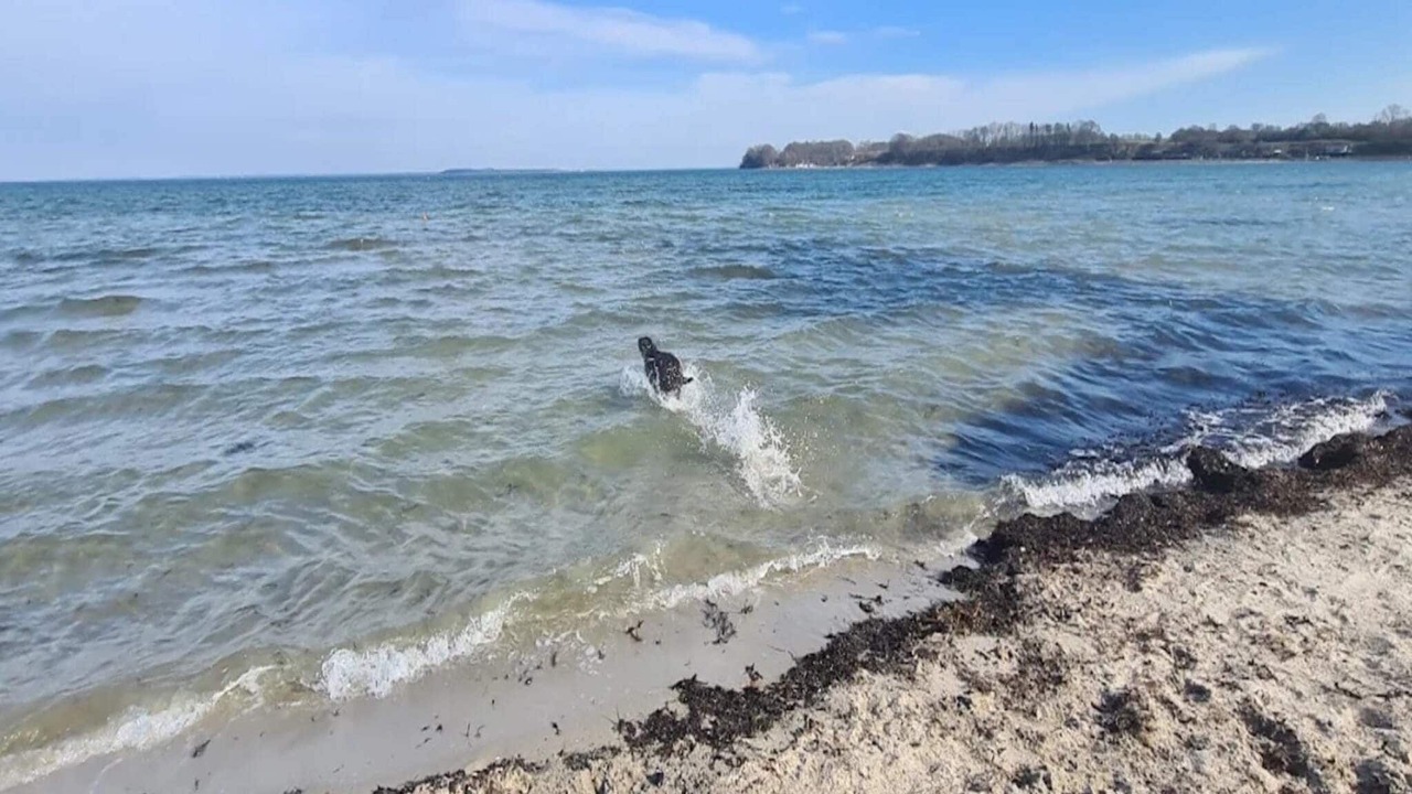Photo of Others in Hejlsminde Strand