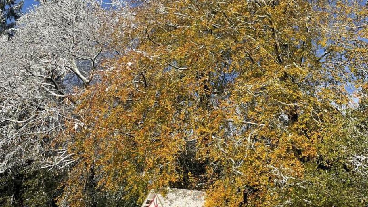 Photo of Others in Bellavilliers