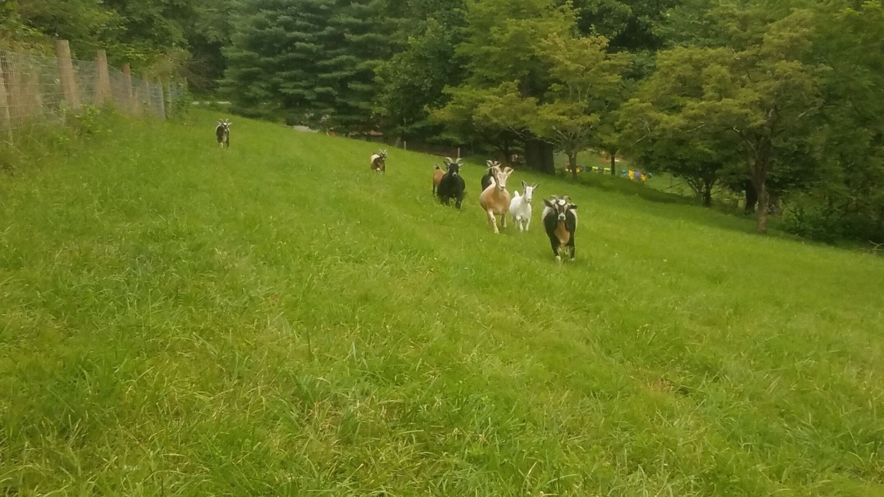 Photo of Others in Pembroke