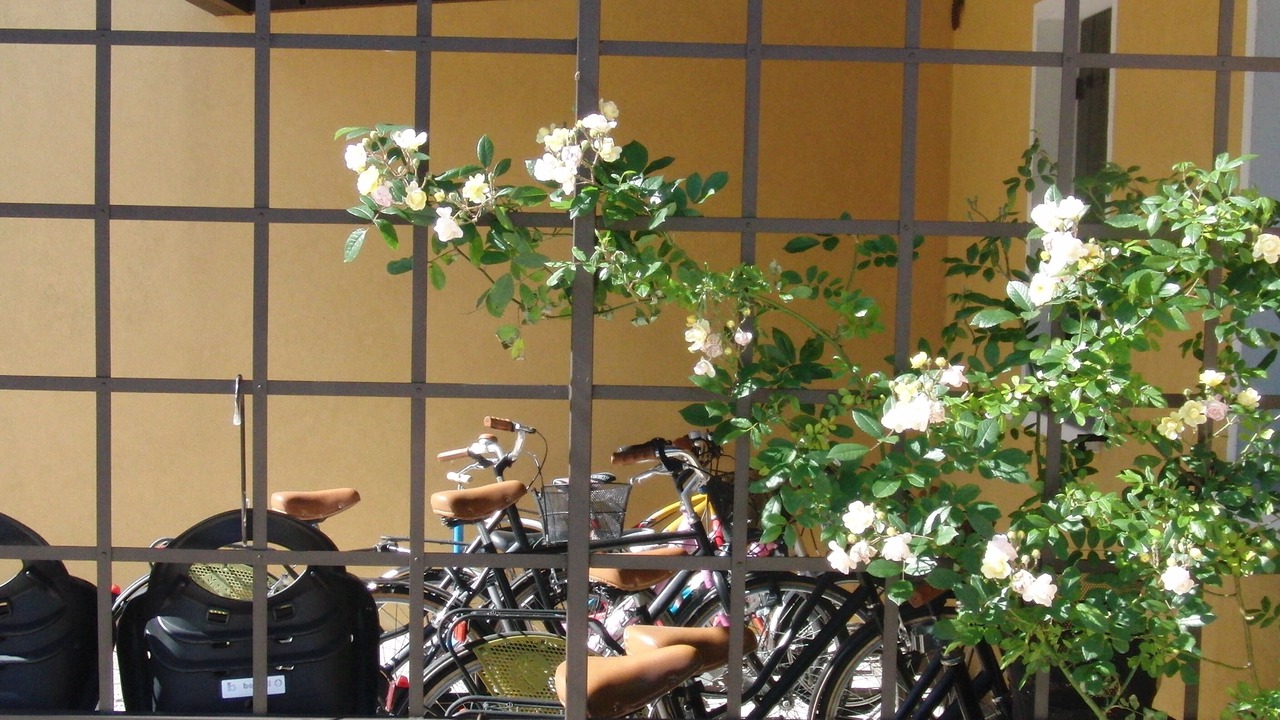 Photo of Outdoor in Oriago