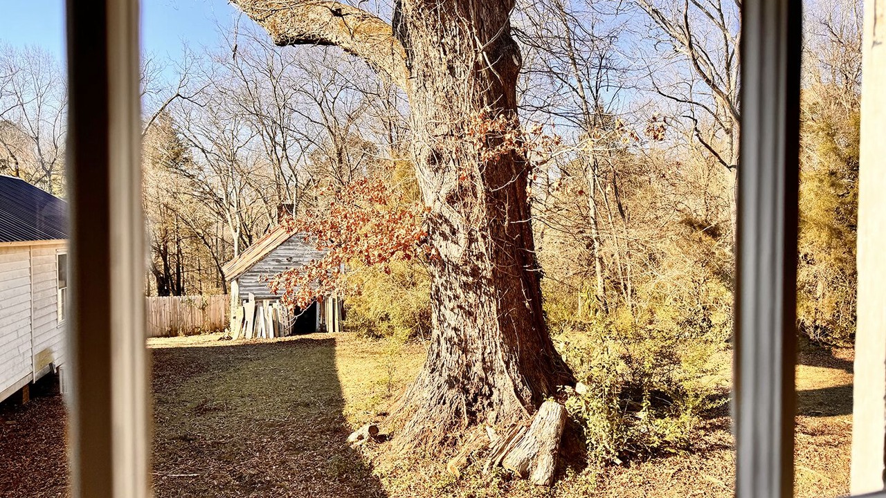 Photo of Others in Clarksville