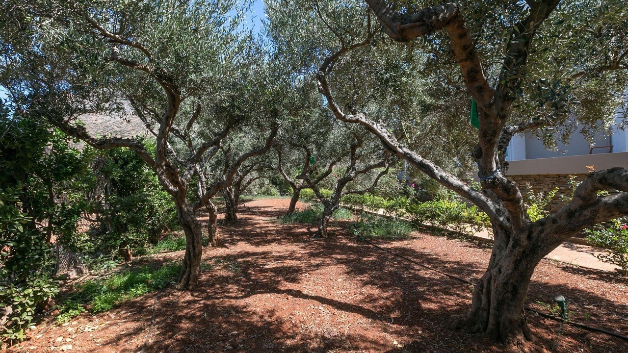 Photo of Others in Gerani