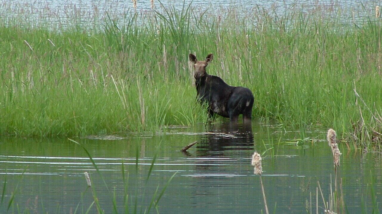Photo of Others in Bonner County