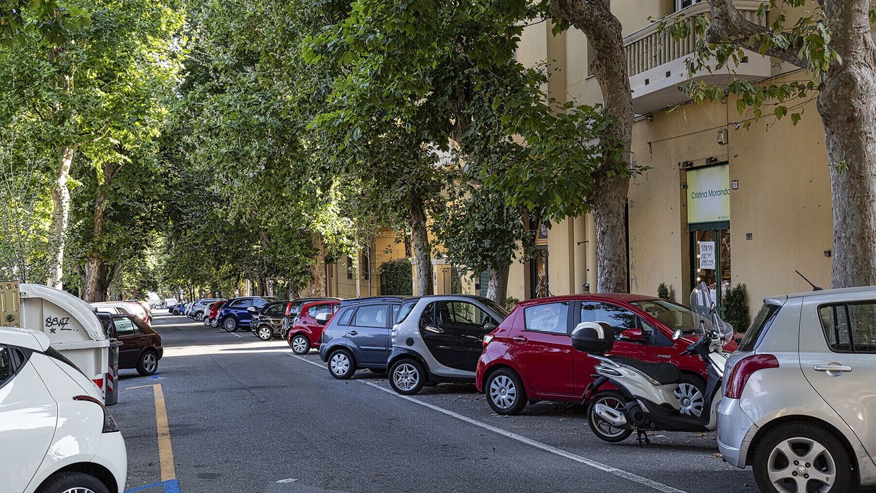 Photo of Outdoor in Albaro
