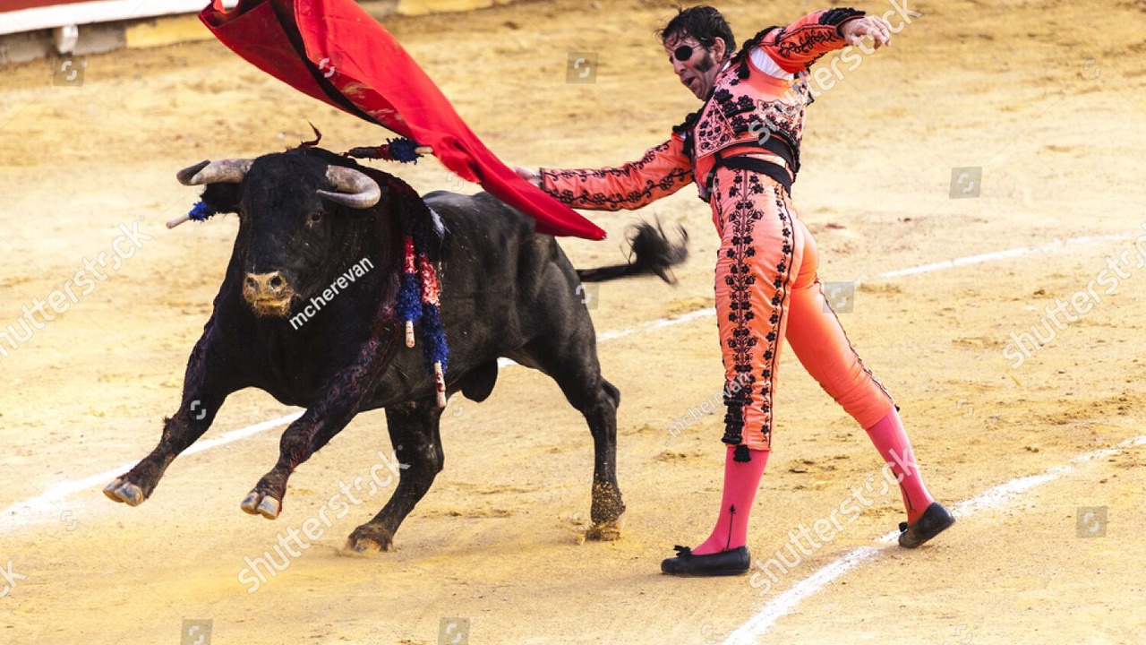 Photo of Others in Vinaros