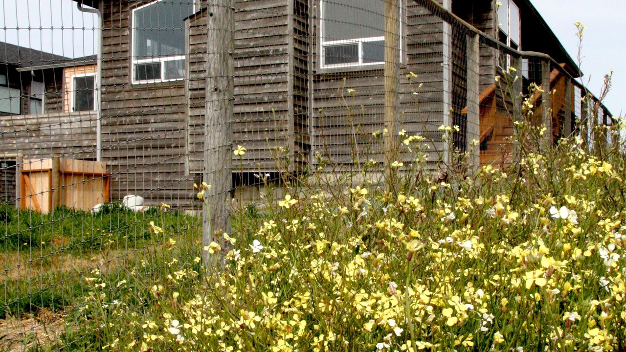 Photo of Outdoor in Bandon