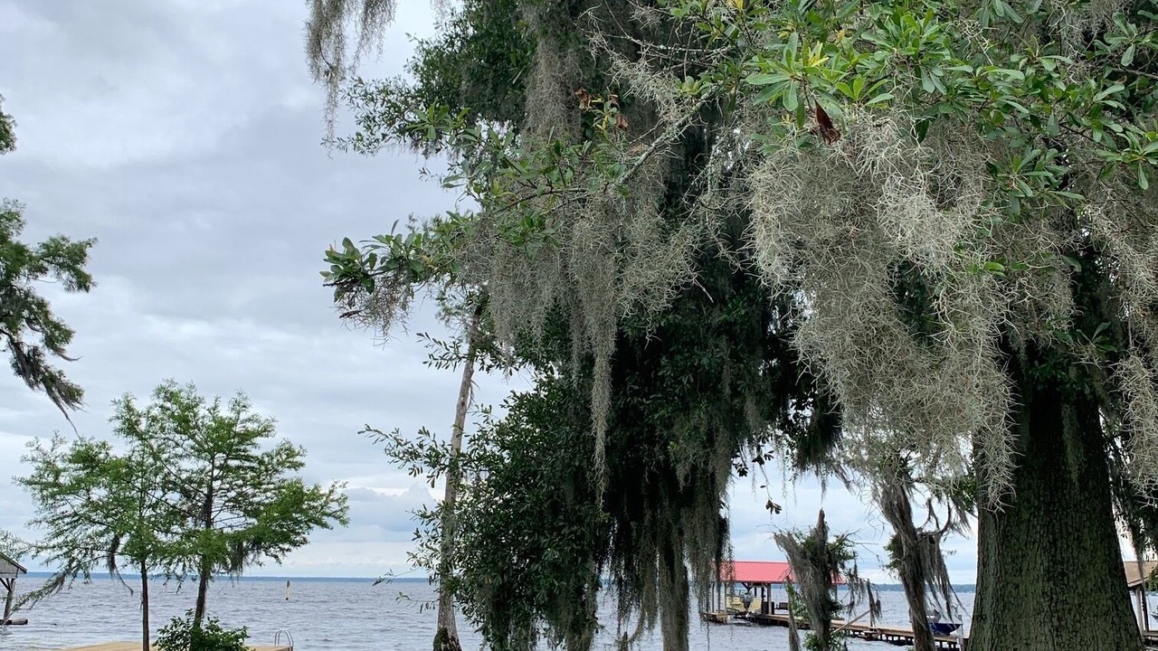 Photo of Others in Lake Waccamaw
