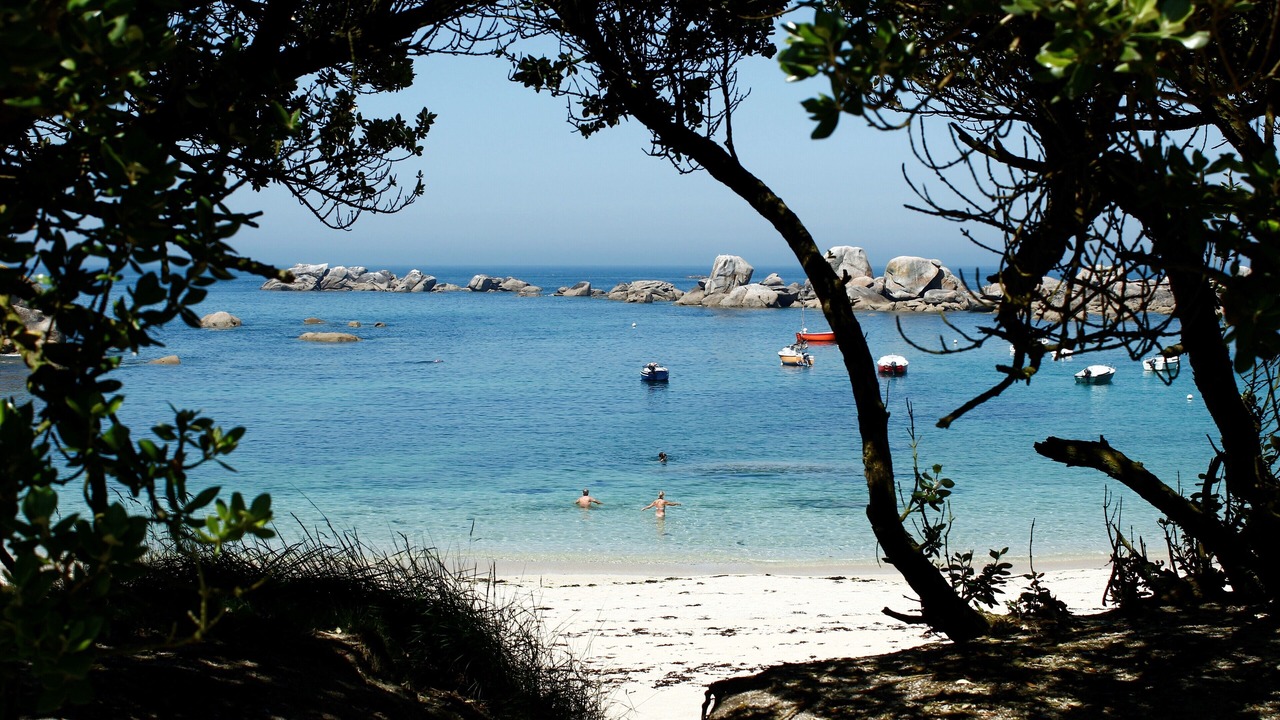 Photo of Others in Saint-Meen