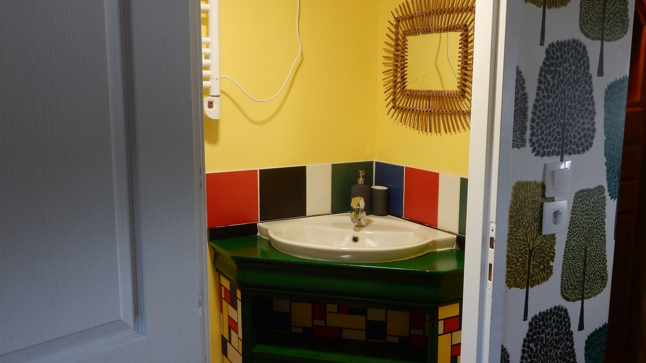 Photo of Bathroom in Bassins a Flot