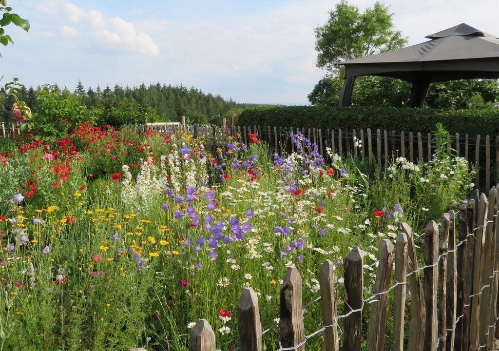 Photo of Outdoor in Pantenburg