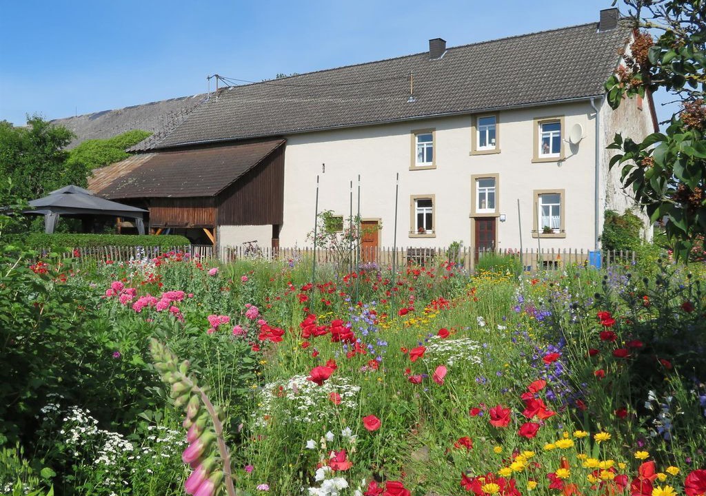Photo of Outdoor in Pantenburg