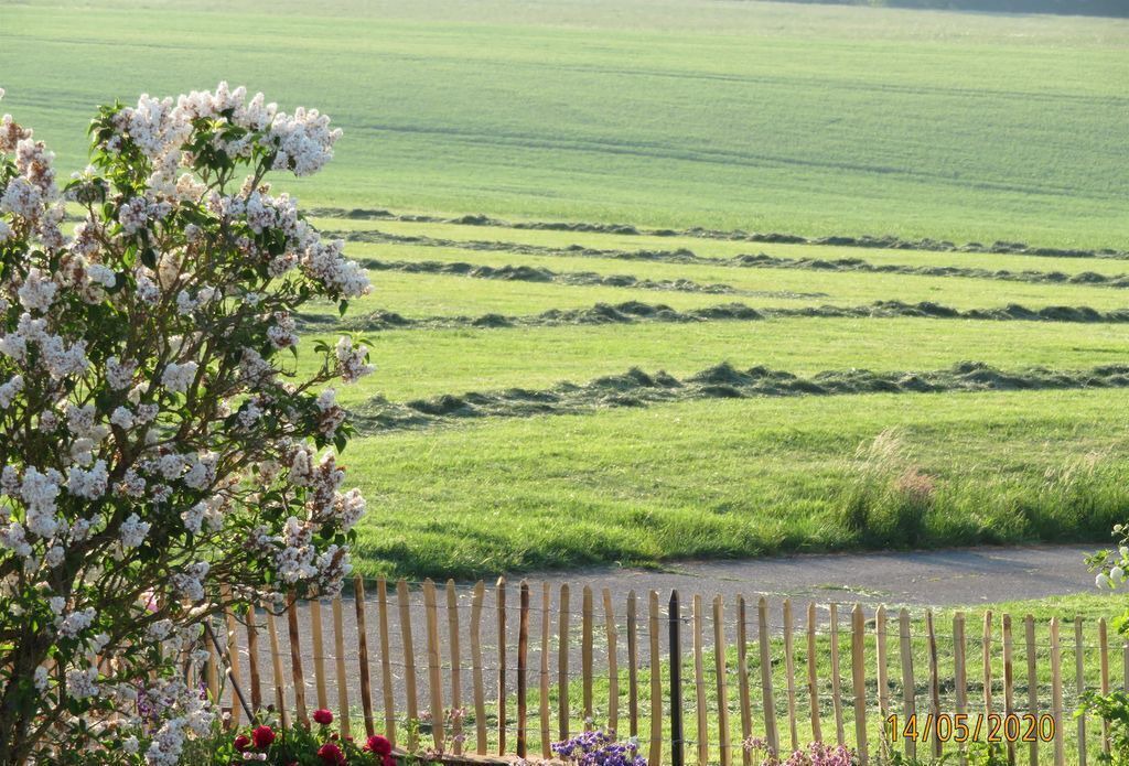Photo of Outdoor in Pantenburg