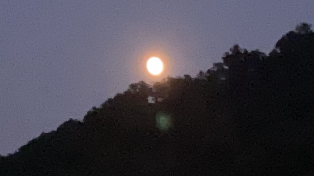 Photo of Outdoor in Northfork