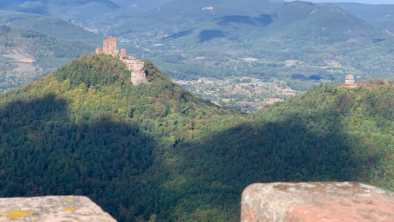 Photo of Others in Annweiler am Trifels
