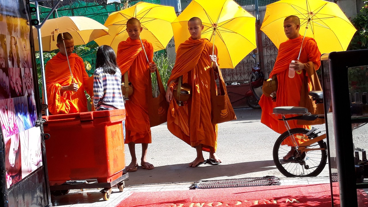 Photo of Others in Chamkar Mon