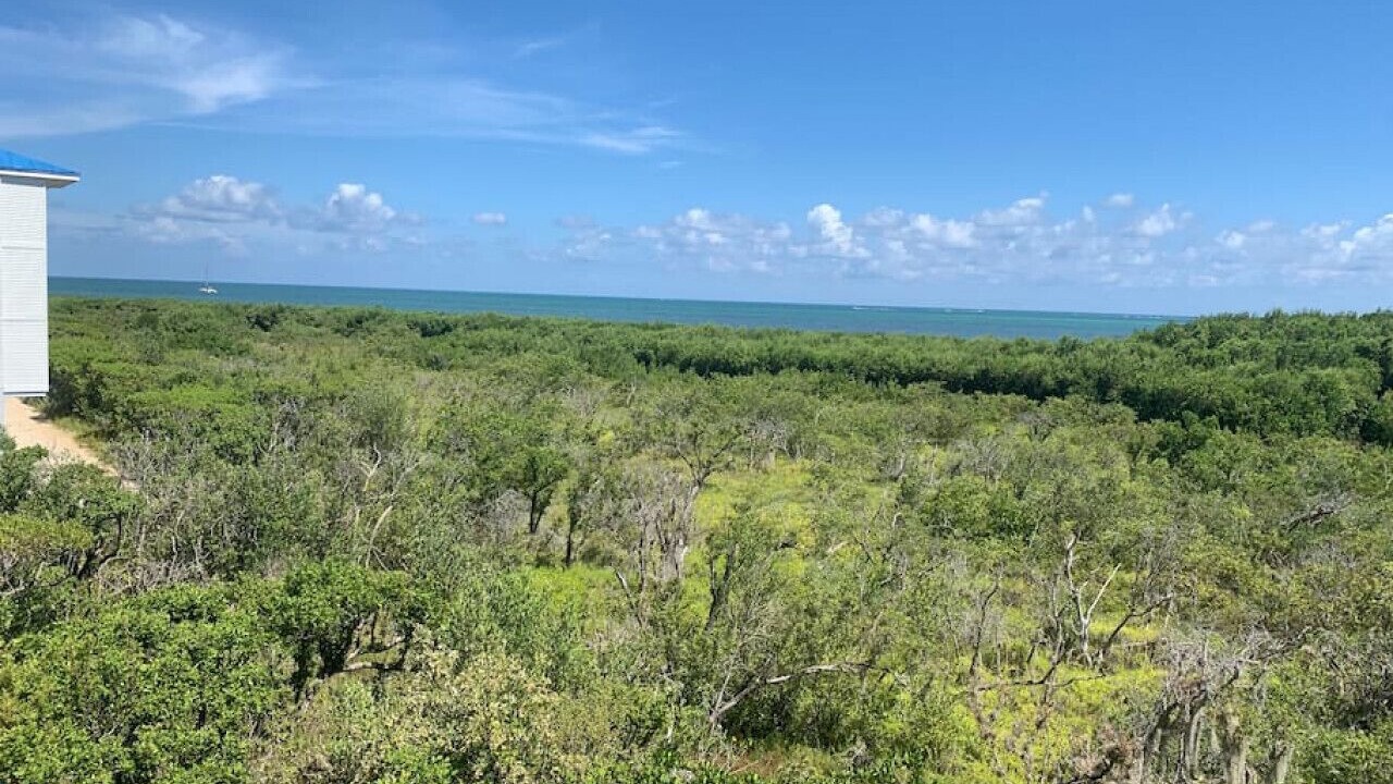 Photo of Others in Tavernier