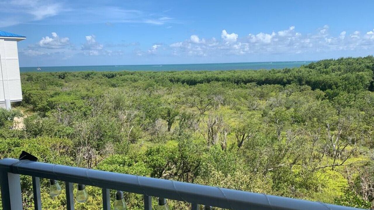 Photo of Outdoor in Tavernier