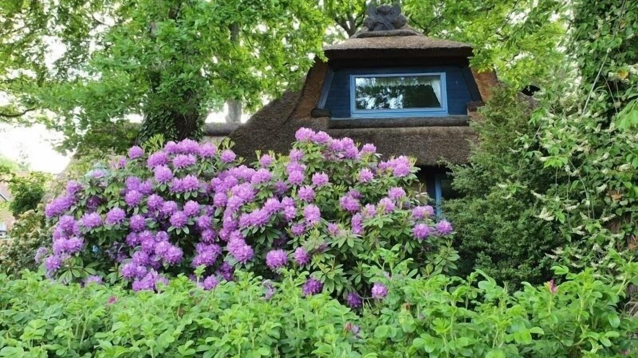 Photo of Outdoor in Sankt Dionys