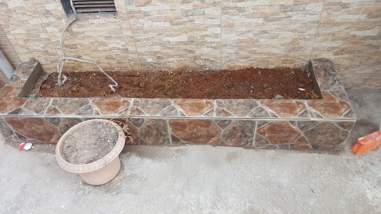 Photo of Outdoor in Ain El Turk