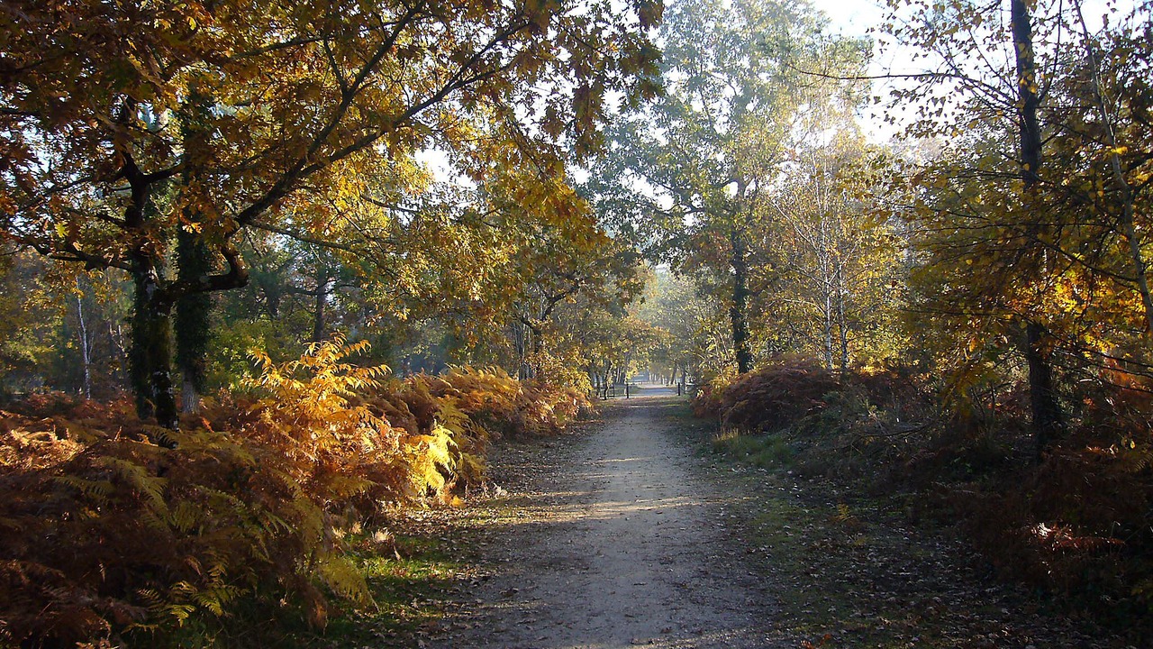 Photo of Outdoor in Cestas
