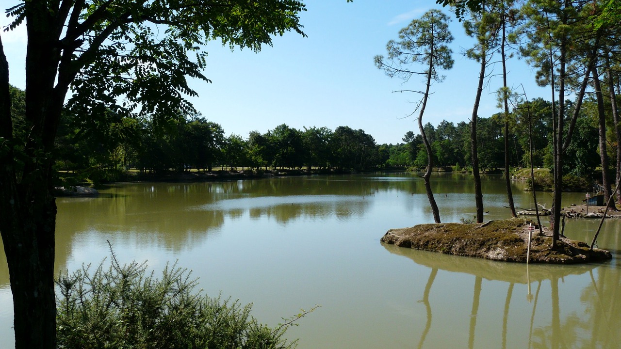 Photo of Outdoor in Cestas