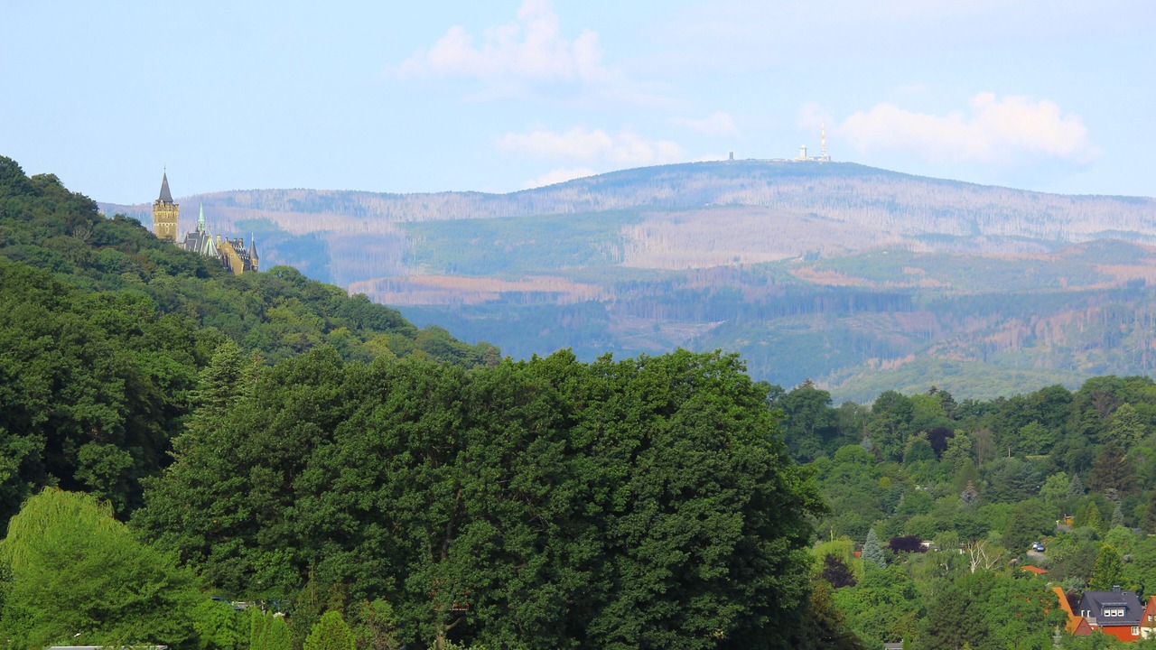 Photo of Others in Wernigerode