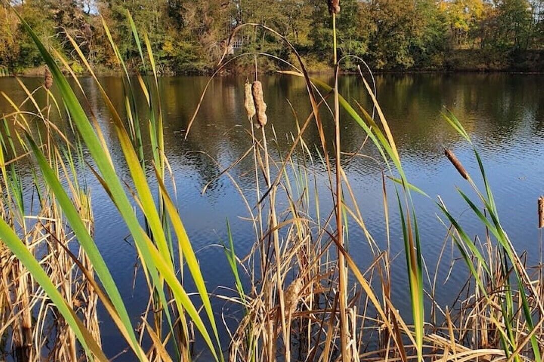 Photo of Outdoor in Grabstederfeld