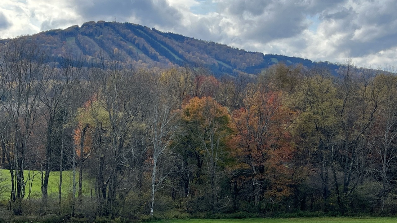 Photo of Others in Union Dale