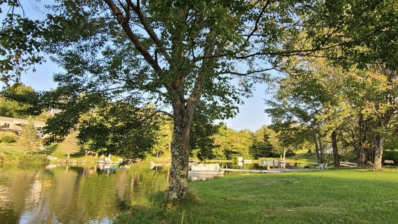 Photo of Outdoor in Union Dale