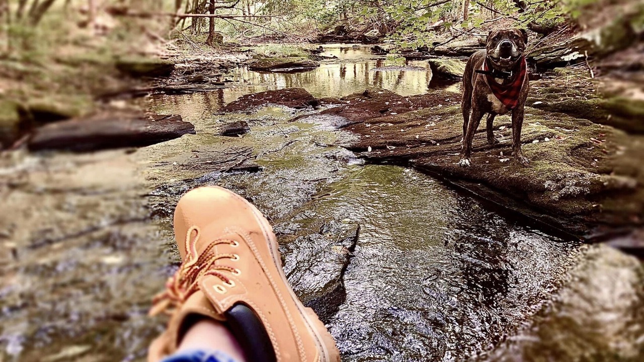 Photo of Outdoor in Union Dale