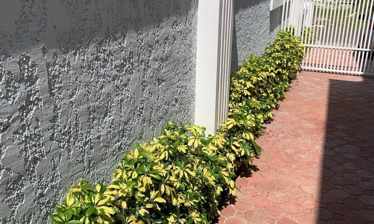 Photo of Outdoor in Westwind
