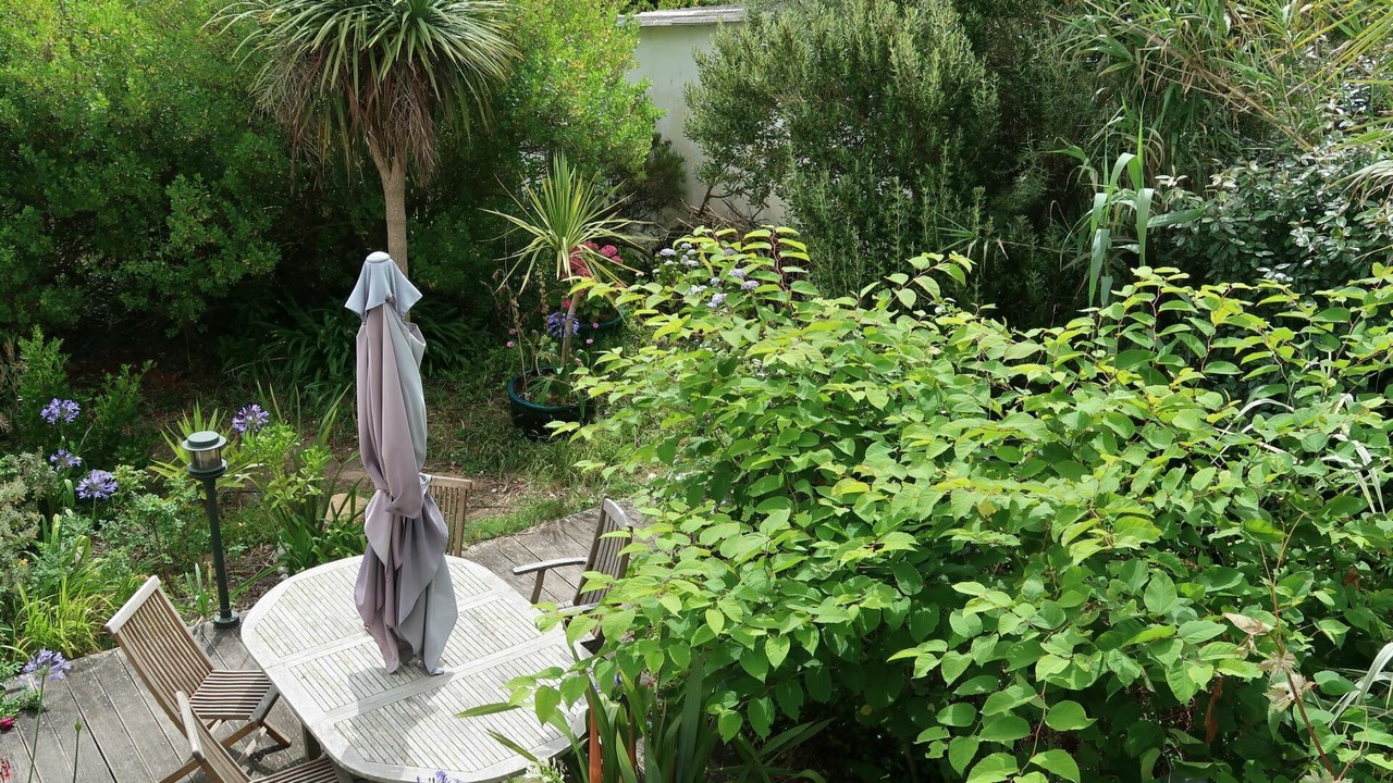 Photo of Outdoor in Finistere