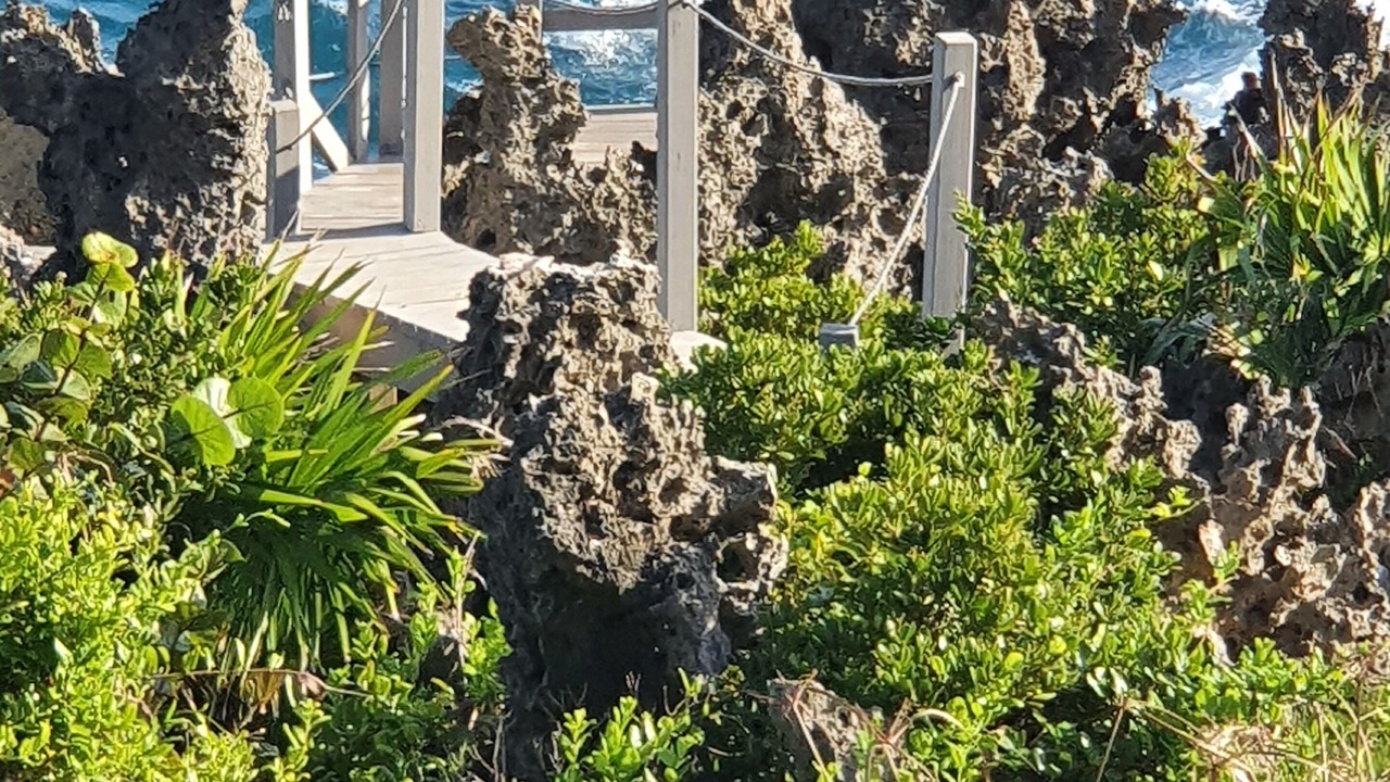 Photo of Others in Lighthouse Estates