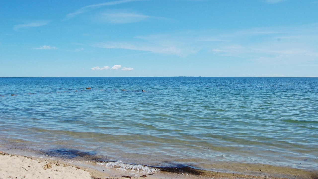 Photo of Others in Pøt Strandby