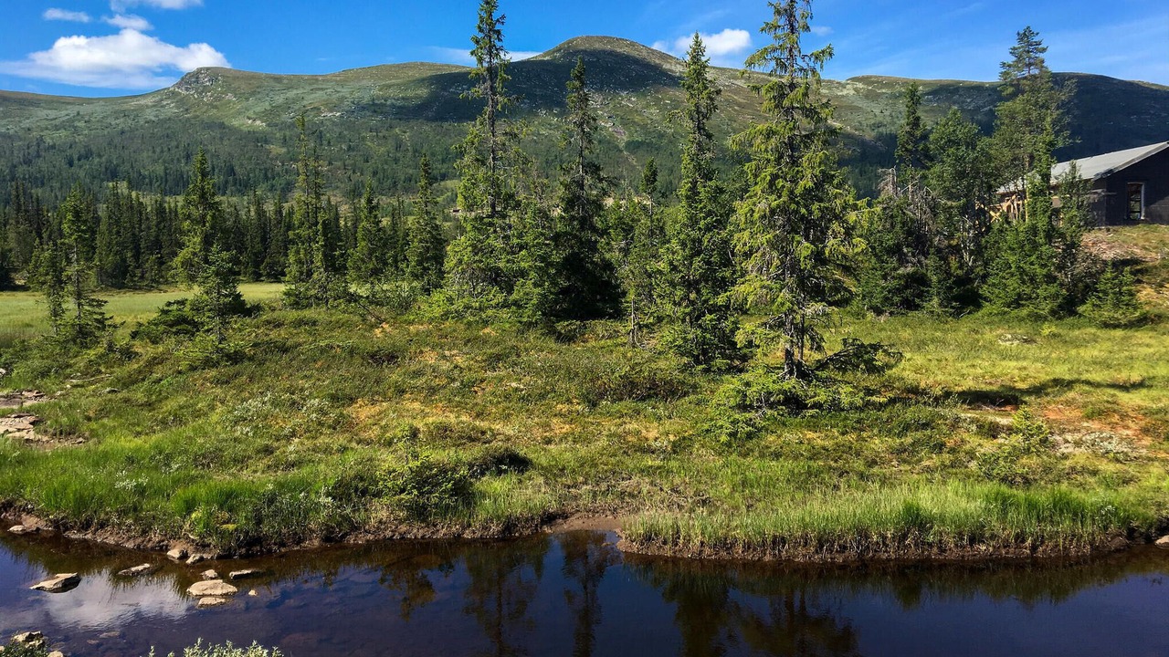 Photo of Others in Vikberget