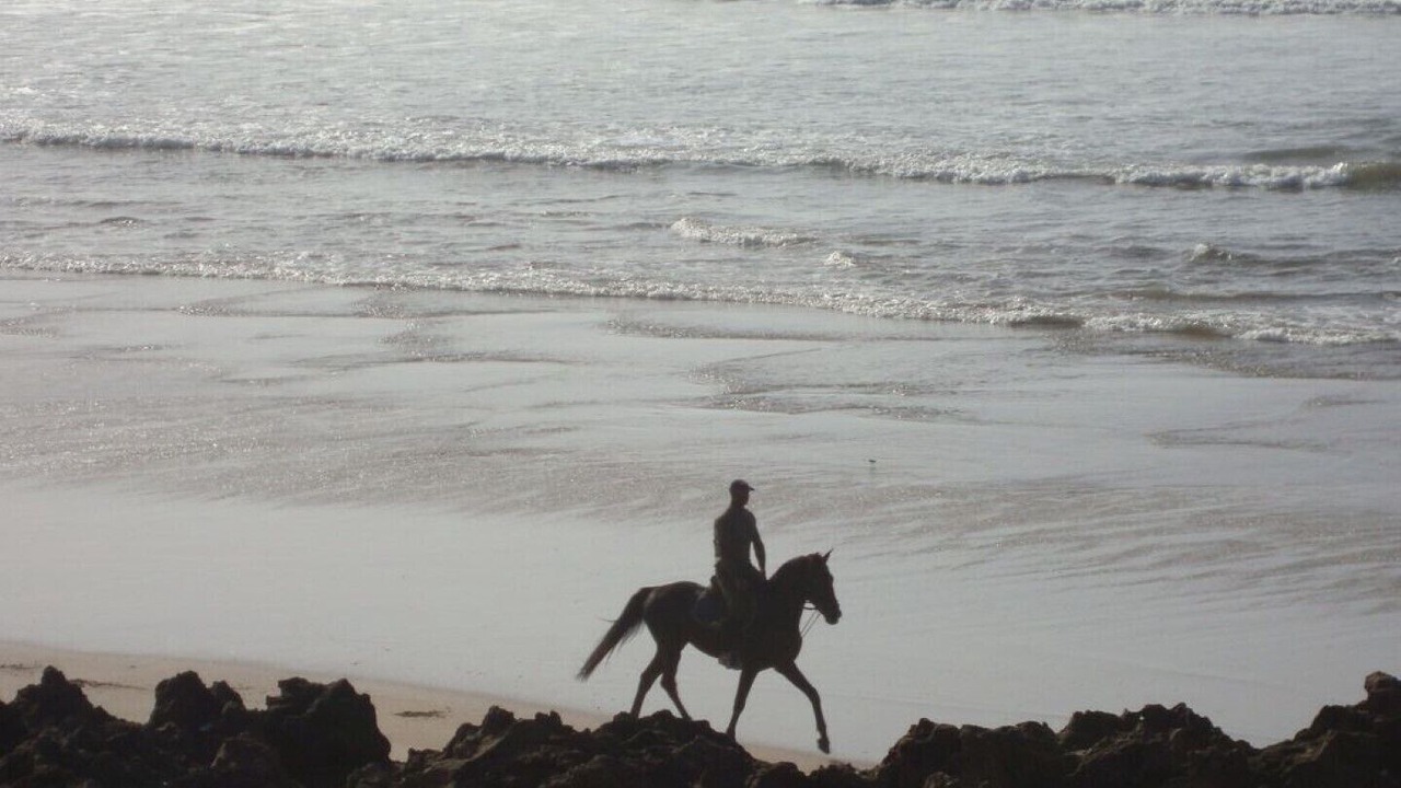 Photo of Others in Temara