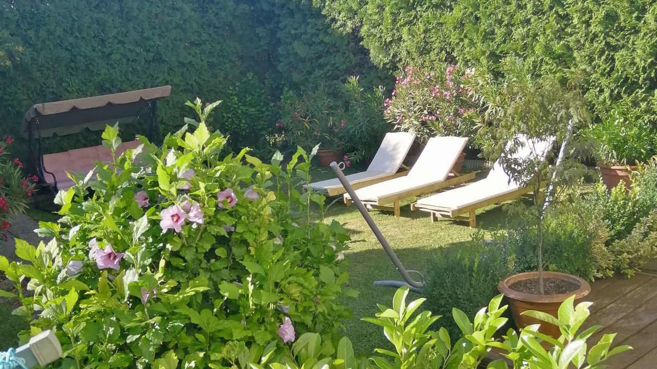 Photo of Outdoor in Clutihany