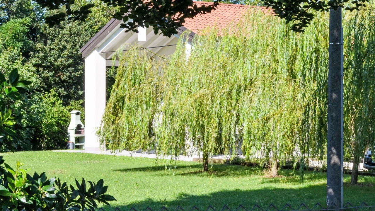 Photo of Outdoor in Malcontenta