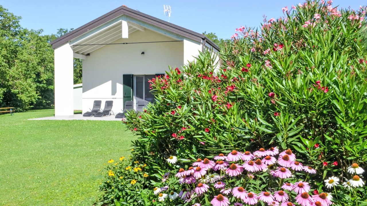Photo of Outdoor in Malcontenta