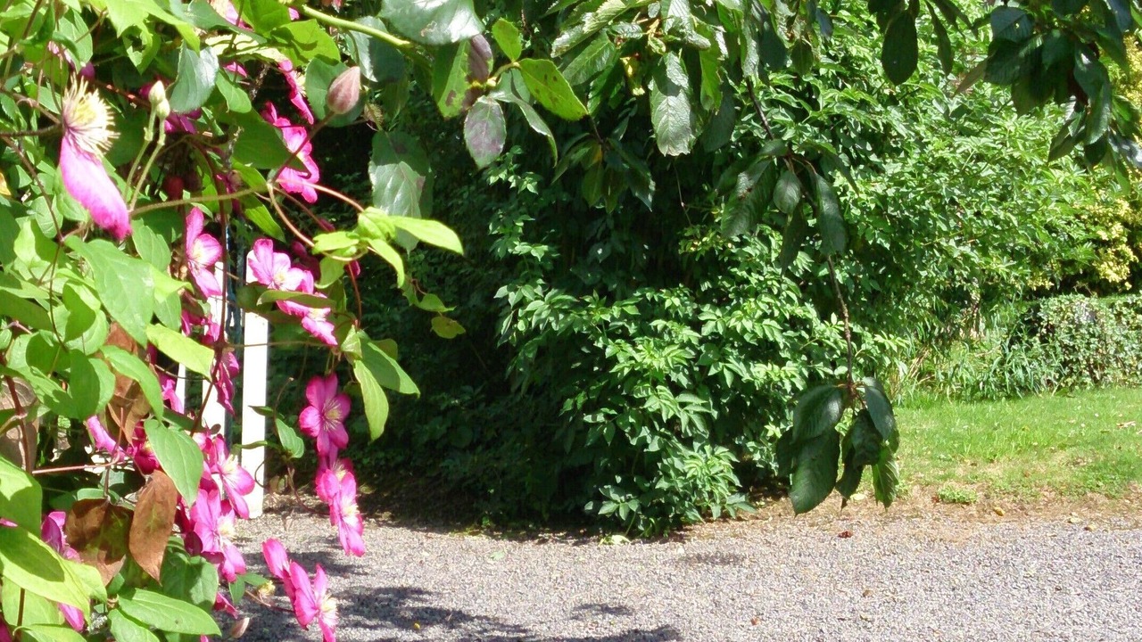 Photo of Outdoor in La Godefroy