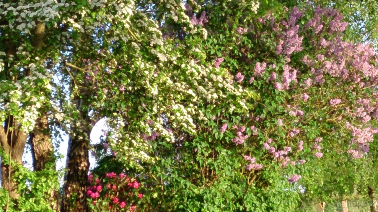 Photo of Outdoor in La Godefroy