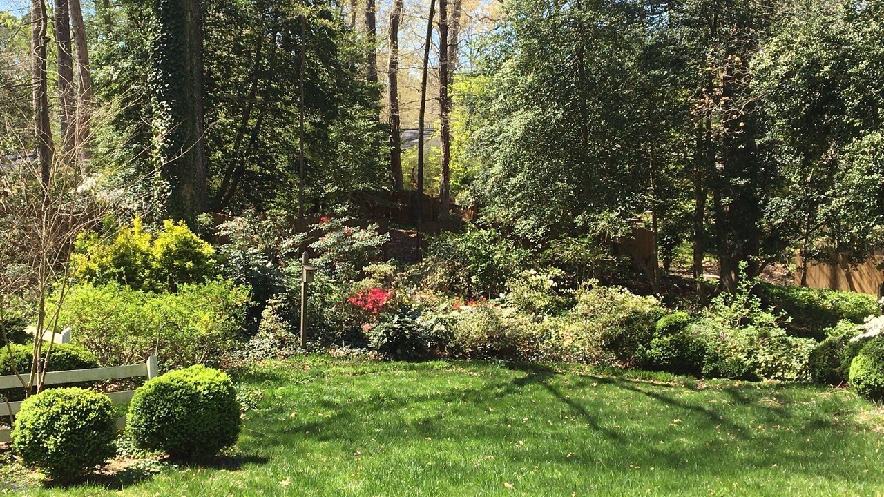 Photo of Outdoor in North Chesterfield